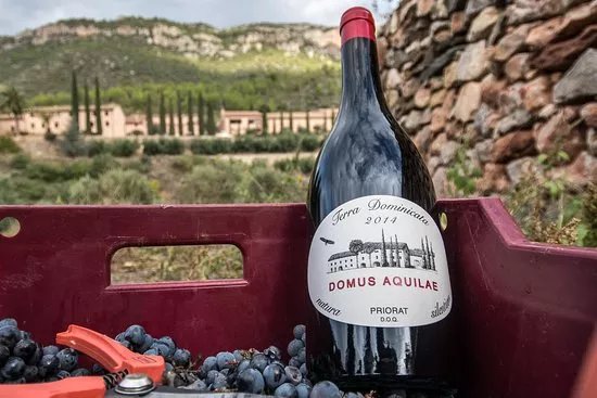 Celler Terra Dominicata - DOQ PRIORAT