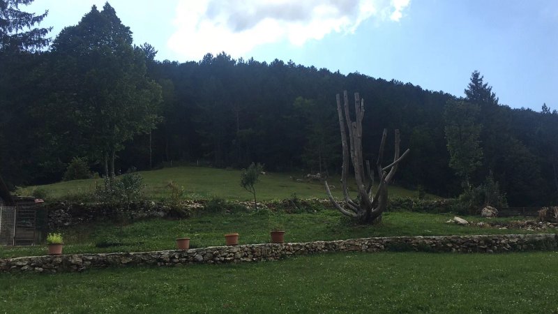 Dobra Hisa Zdravja Cicarija