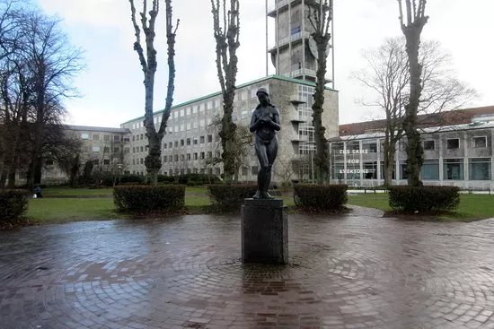 Den Svangre