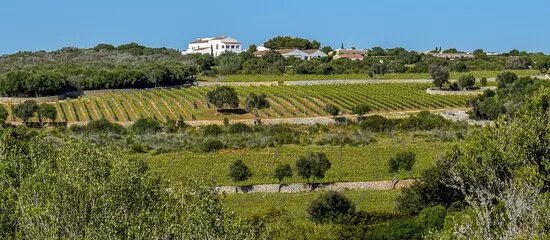 Bodegas Torralbenc