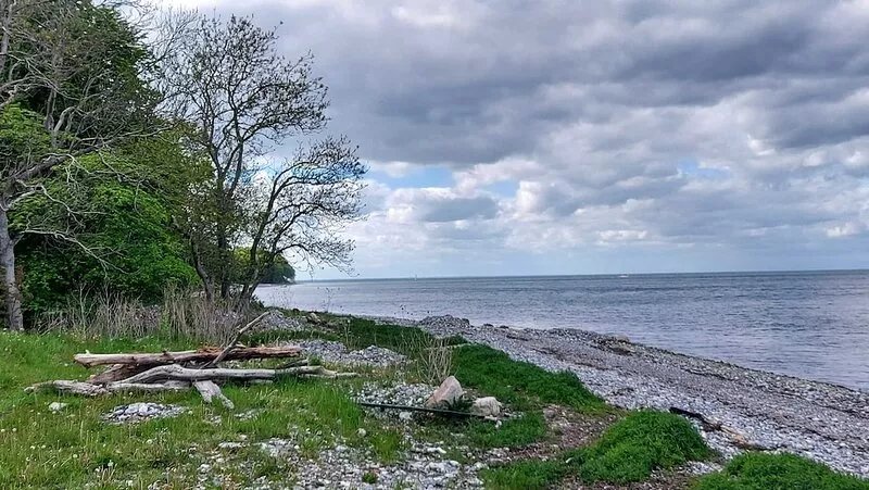 Garnhuset - The perfect getaway right on the beach and surrounded by forest