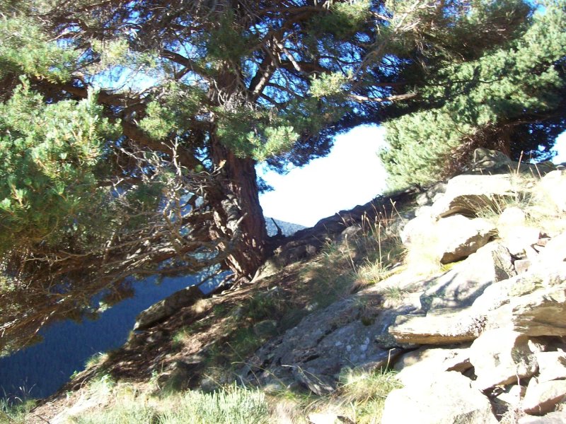 Hotel El Xalet