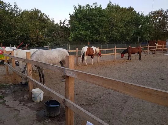 Horse Riding Izabella