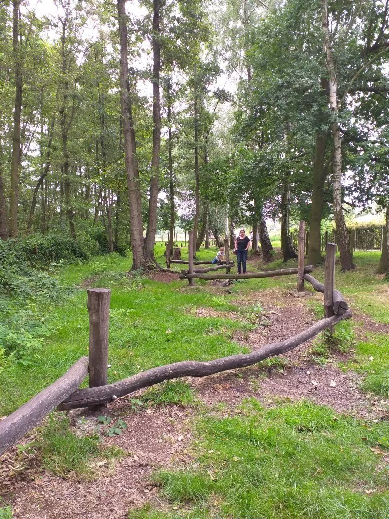 Juffertje in’t Groen