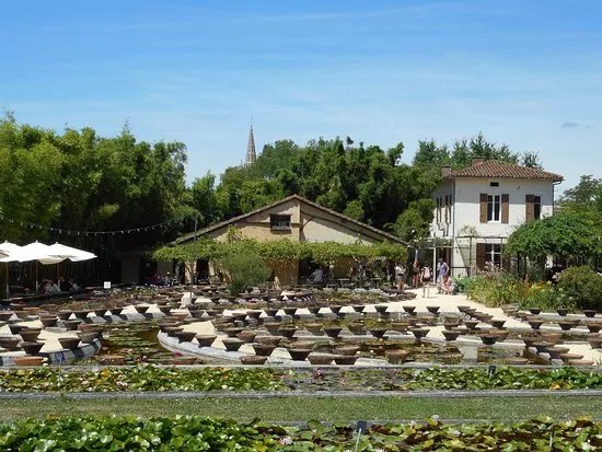Latour-Marliac