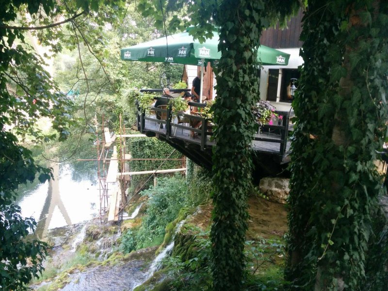 Vodena Ovca