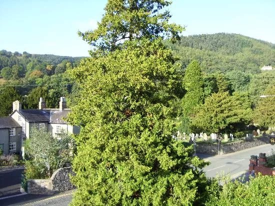 Glasgwm B&B