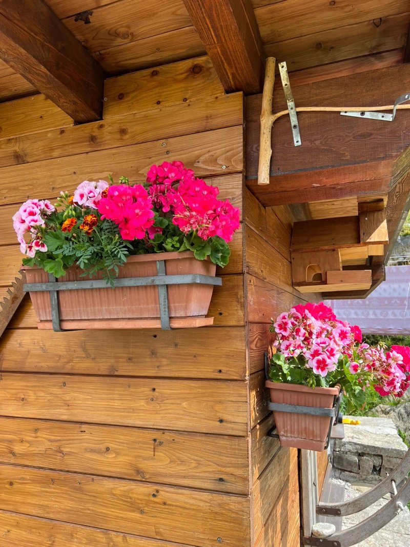 Ristorante dell'Albergo della Fonte