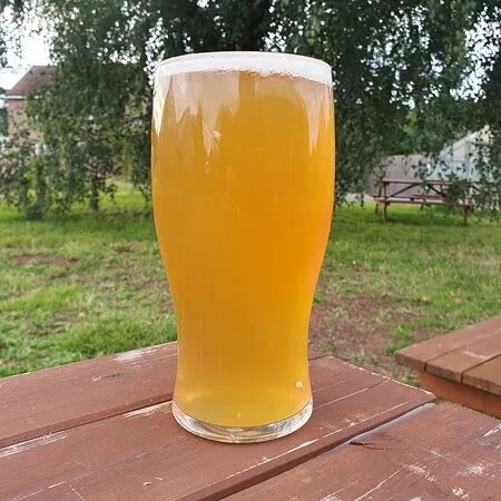 The Forest Brewery