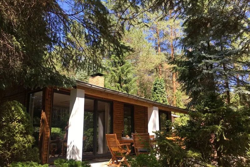 BUNGALOW IN THE FOREST on a natural plot