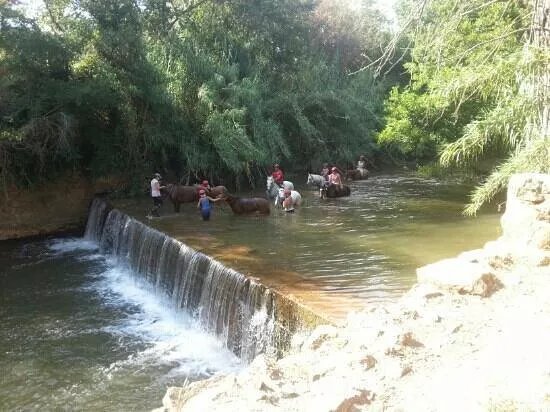 Aventure cheval. Randonnees a cheval