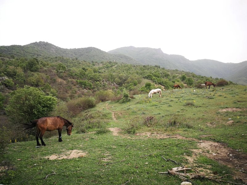 Rancho i Vancho na Kata