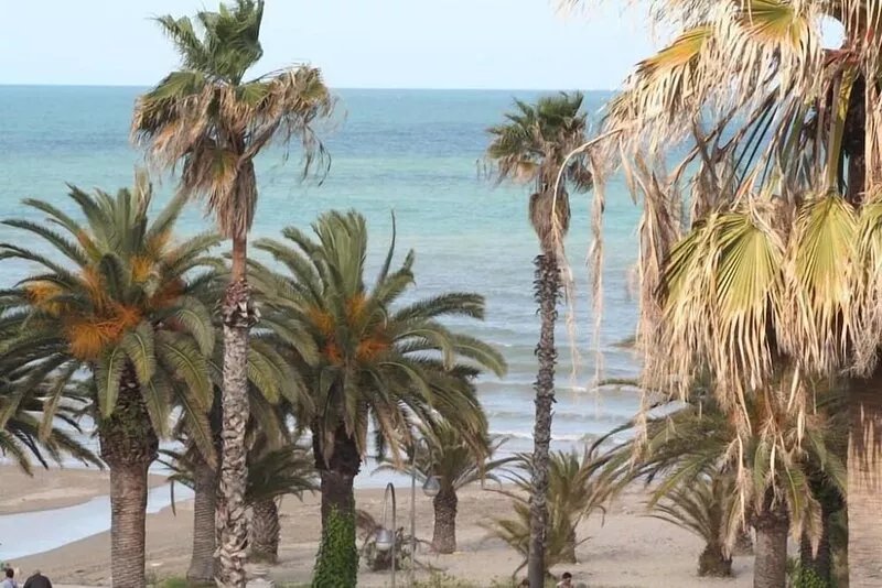 Beachfront apartment