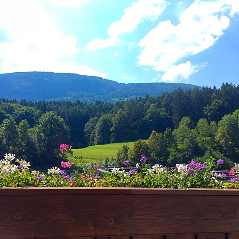 Residence Brunelle
