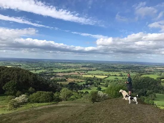 Earl's and Pontesford Hill