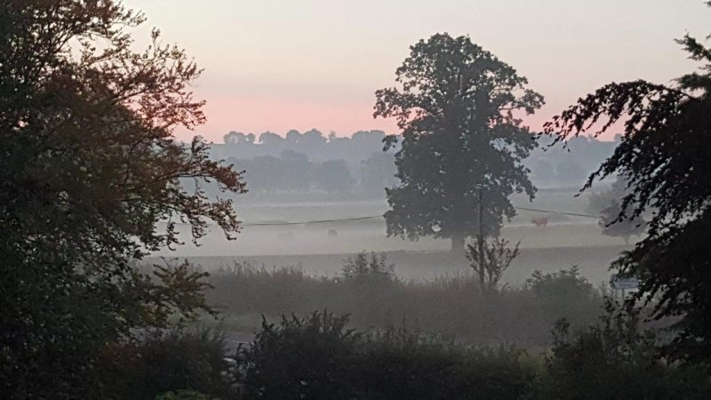 Beechmount Farm