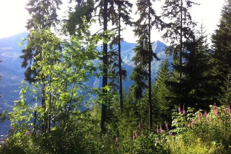 Bourg Saint Maurice: Nice residential flat, 47 m2, facing directly south.