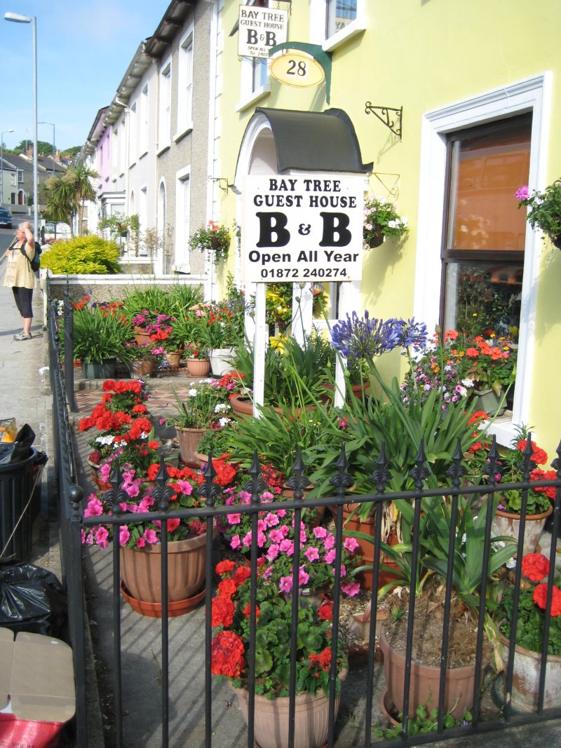 The Bay Tree Guest House