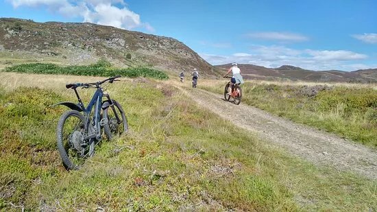 Progression Bikes