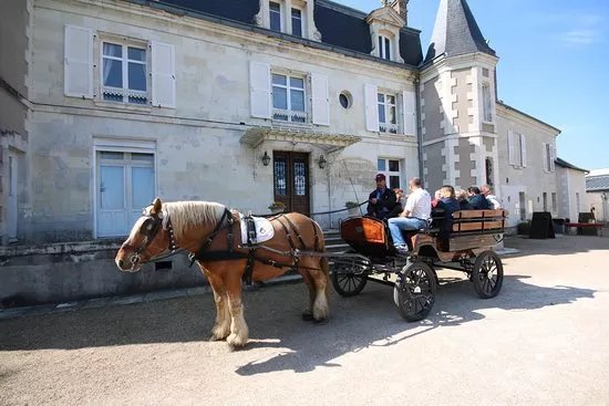 Domaine de la Gabilliere