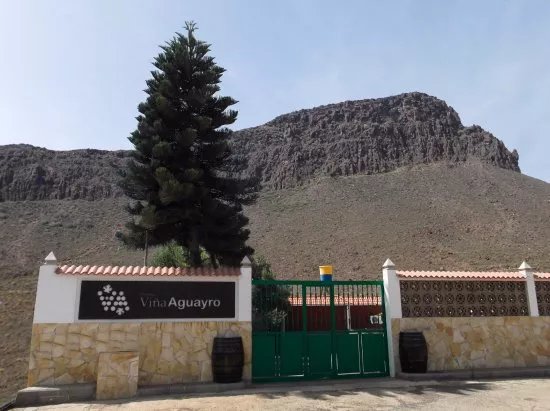 Bodega Vina Aguayro