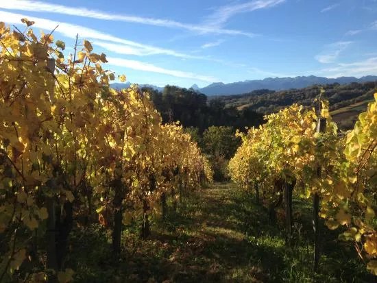 Cru Lamouroux