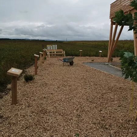 Aussichtsplattform Skywatch