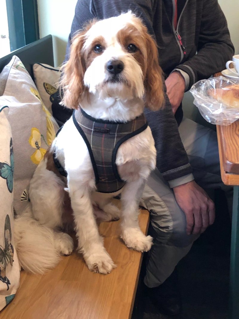 Barney's Delicatessen in Hove
