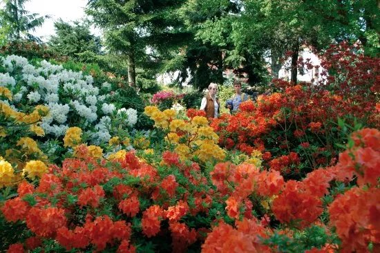 Park der Garten