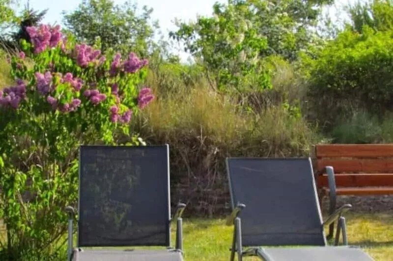 Beautiful vacation apartment with a view of the paddock