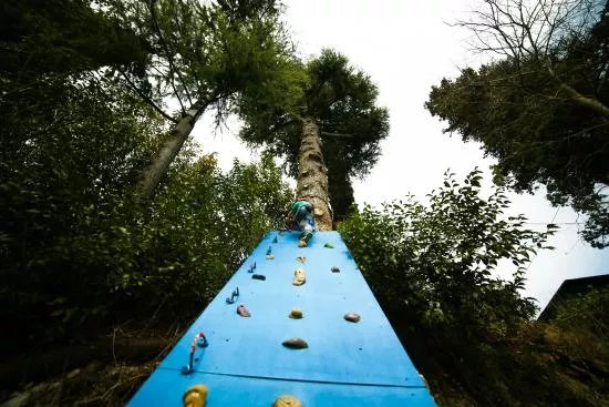 Parco Avventura Rimbalzello Adventure