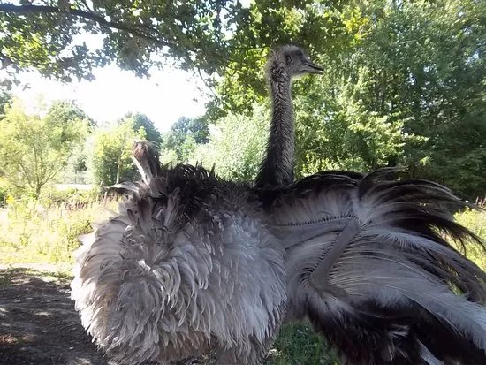 Kinderboerderij 't Weusthag