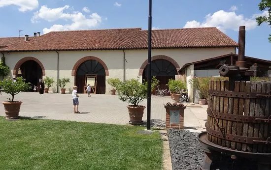 Azienda Agricola Pieriboni
