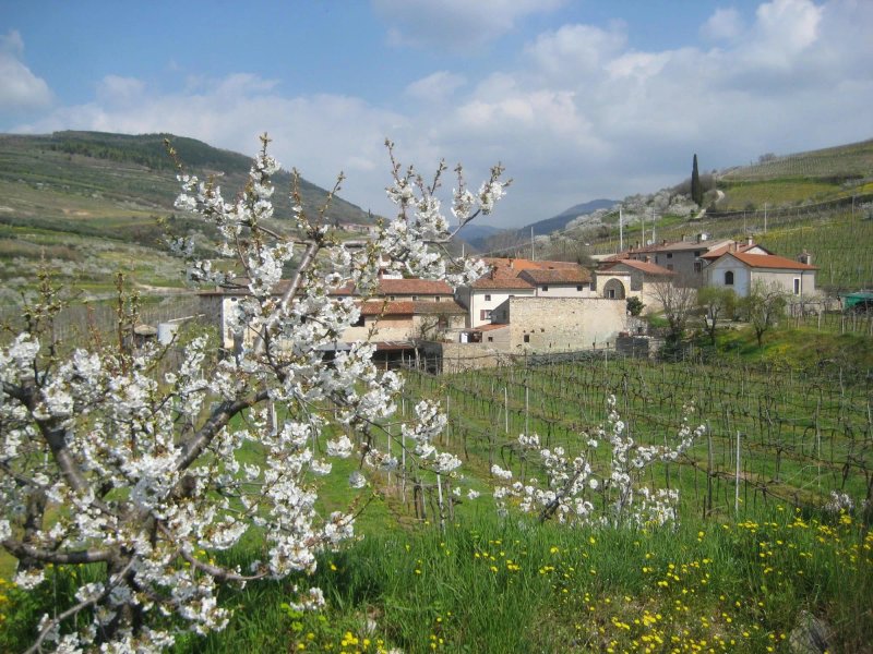 Bed and Breakfast Corte Caliari