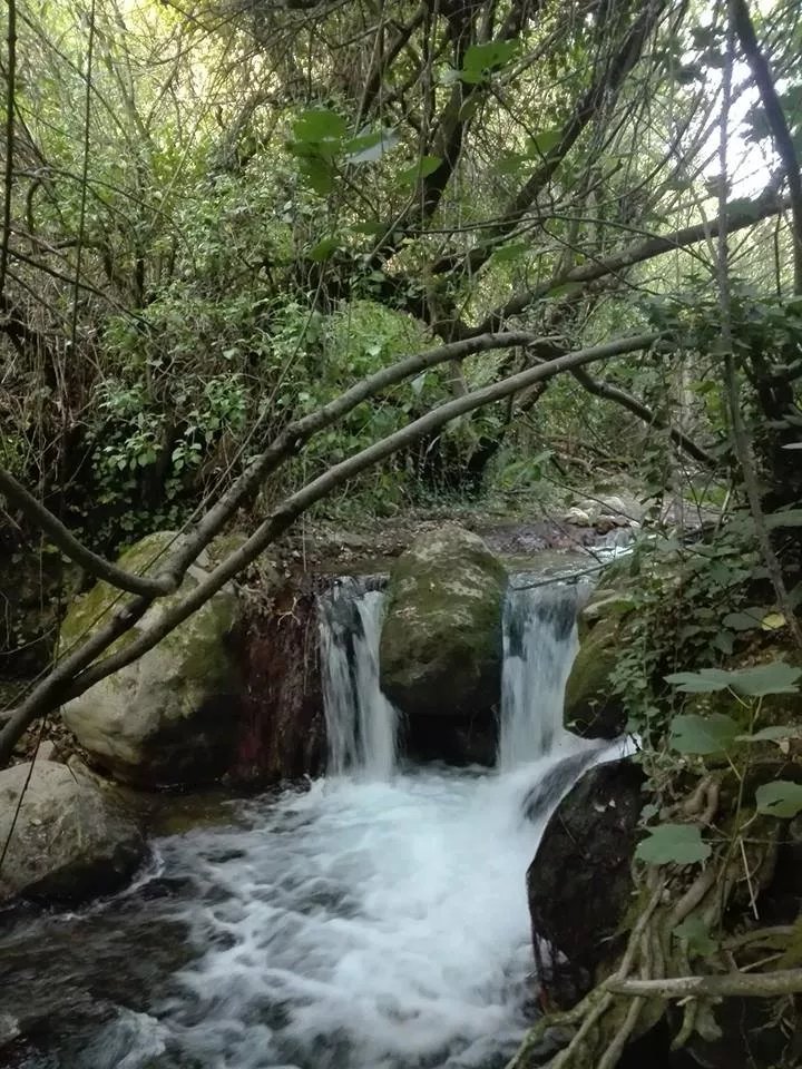 Punto de Informacion Turistica de Benamahoma
