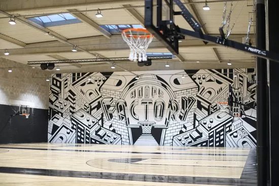 Hoops Factory