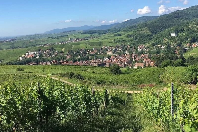 F4 New in Ribeauvillé