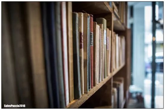 Libreria Fenice