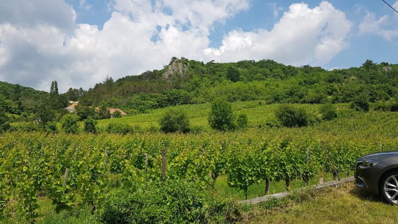 Weingut Rotes Mauerl