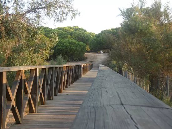 Playa de El Portil