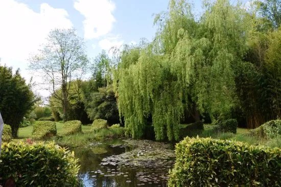 Le Parc aux Bambous