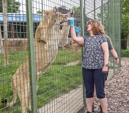 The Big Cat Sanctuary