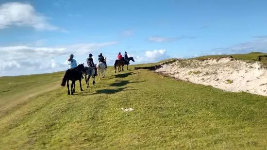 The Point Equestrian Centre and Pony Trekking