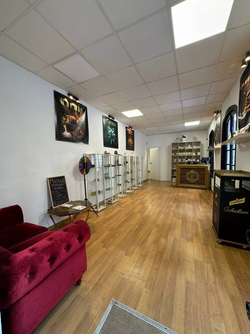 Boutique del Cannabis Medicinal - Alcala de Henares