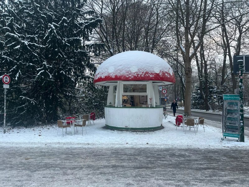 Milchschwammerl // What The Kiosk?