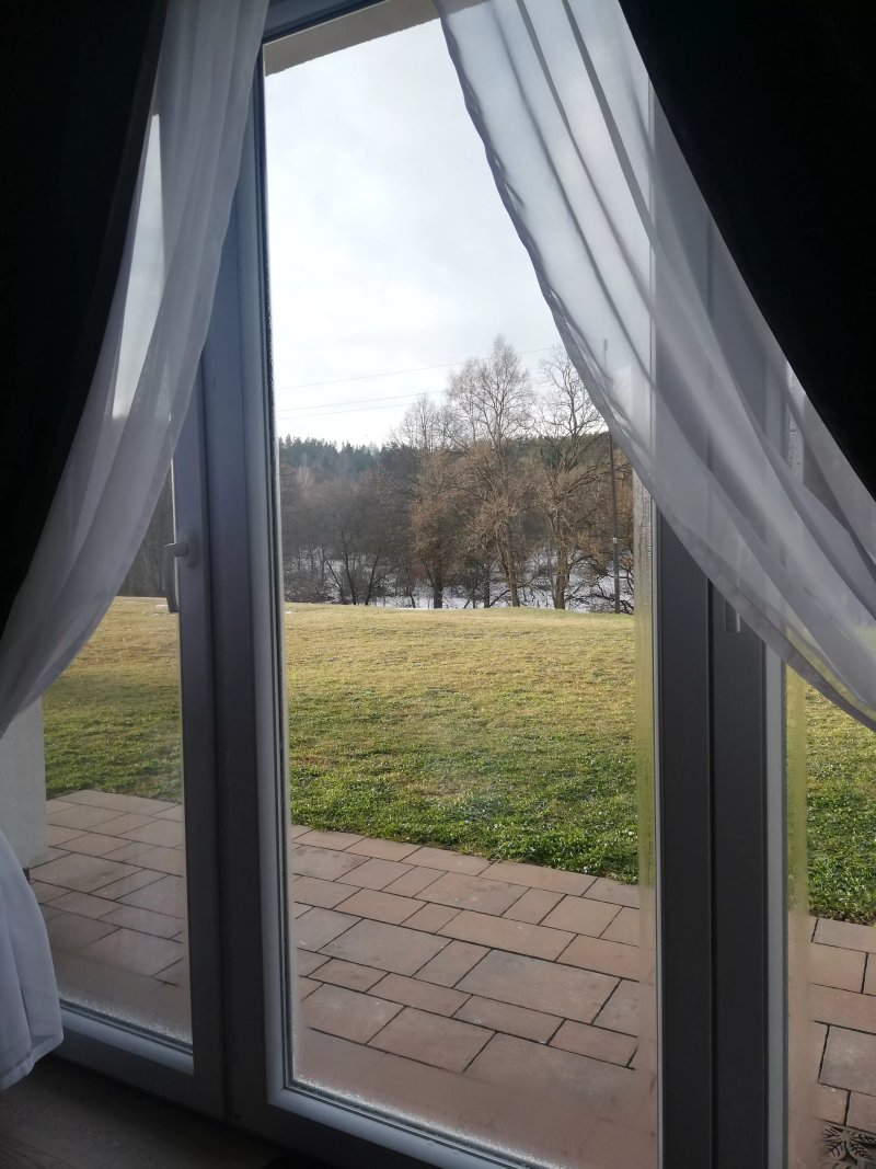 Dwor Leszczowate