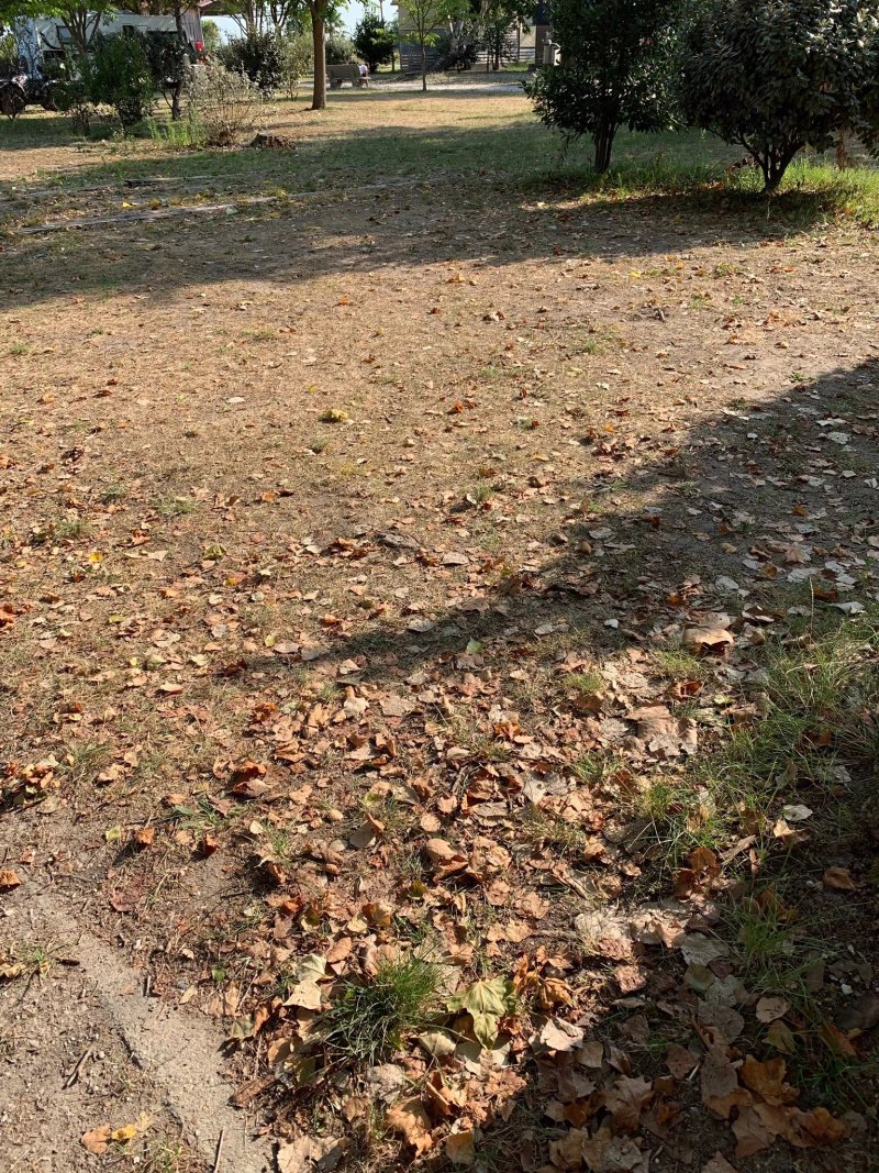 Camping Routes du Monde ATC La Hume-Arcachon