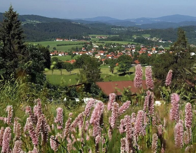Swedish chalet - Scandinavian lifestyle in the Bavarian Forest