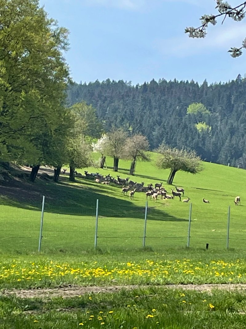 Landgasthof Pammer