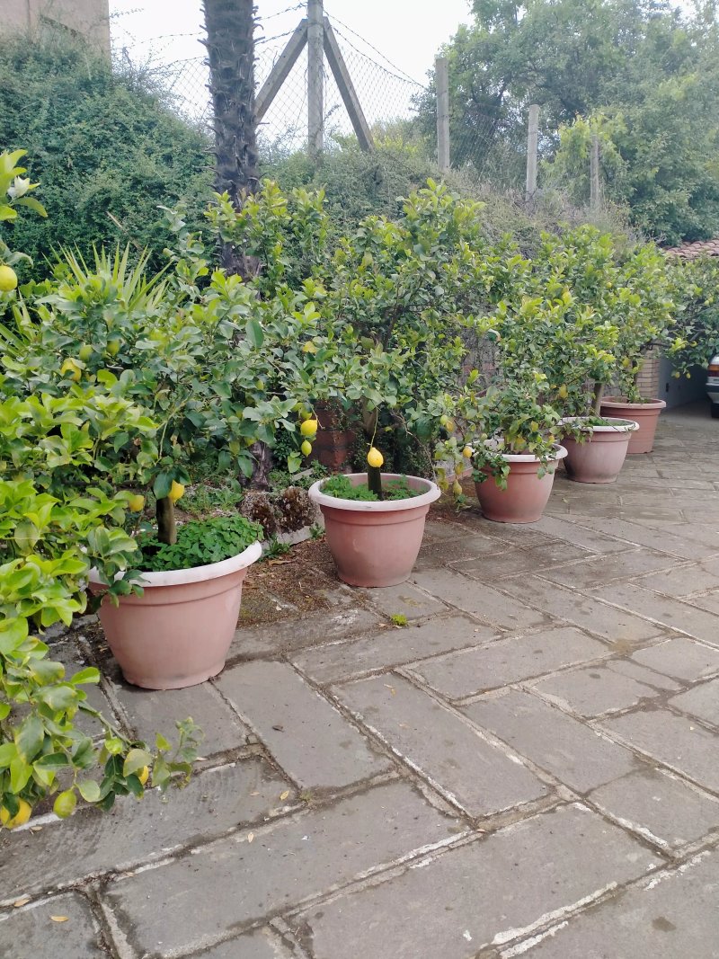 Casa Vacanze La Mattonara